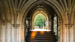 Essay-Analysis-Princeton-University-2018-19