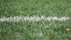 college_essay_vertical_jump_blog_post