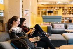 essay-writing-blog-post