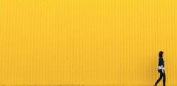 international_applicant