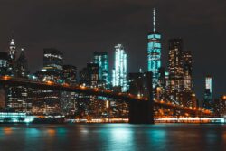 new-york-college-experience