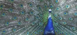 confidence_not_bragging_blog_post
