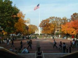 photo of University of Michigan Ann Arbor campus with brick quad, and flag pole in center. campus buildings and autumn trees surround.