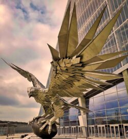 atlanta-falcons-3608930_1280