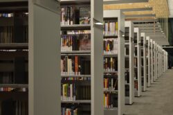 cornell-university-82344_1920