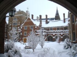 yale-79268_1280