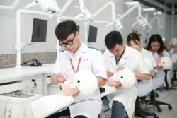 Washington University School of Medicine in St. Louis: Med School Application Guide