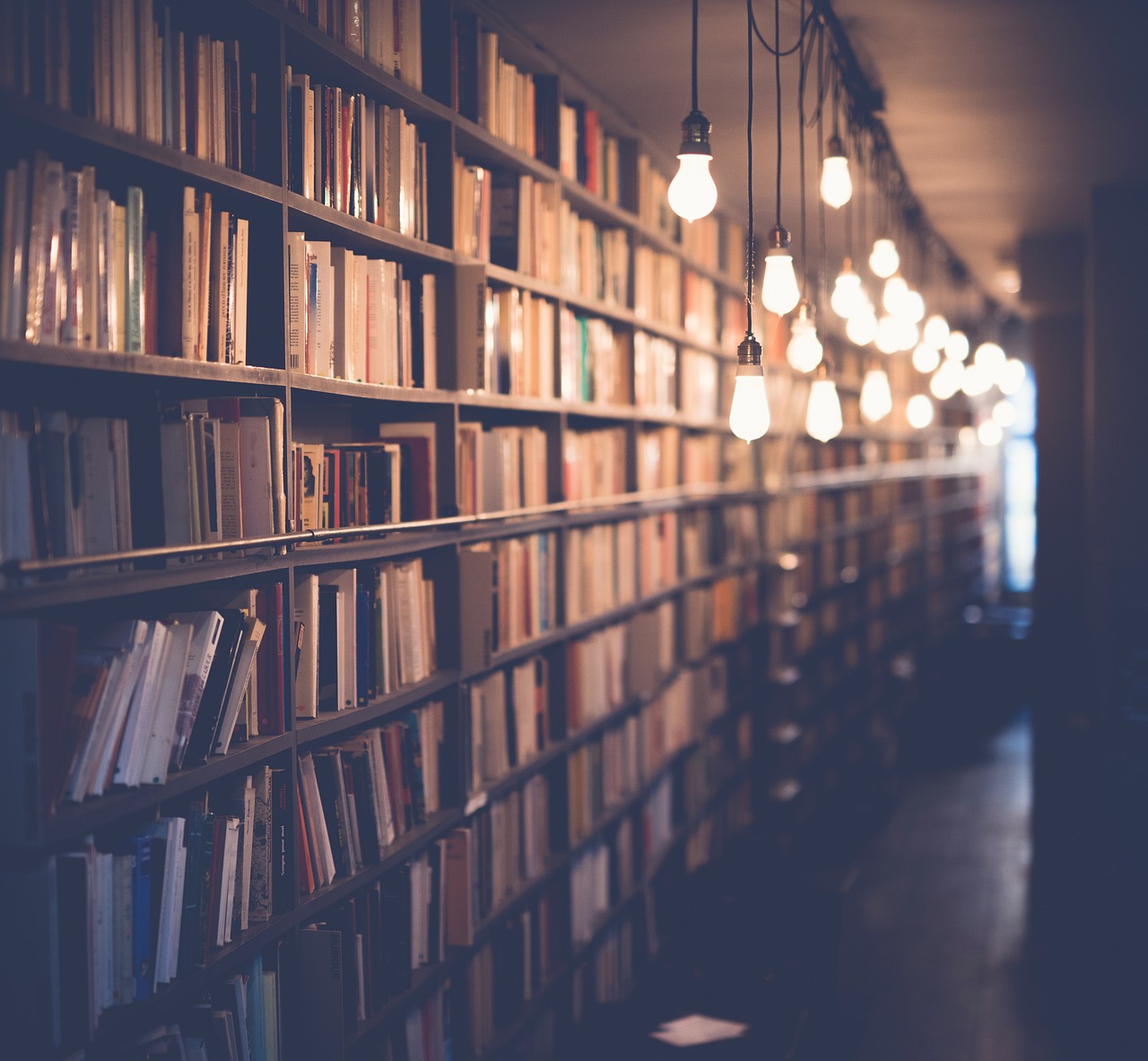 Long bookshelf wall dimly lit by hanging exposed lightbulbs