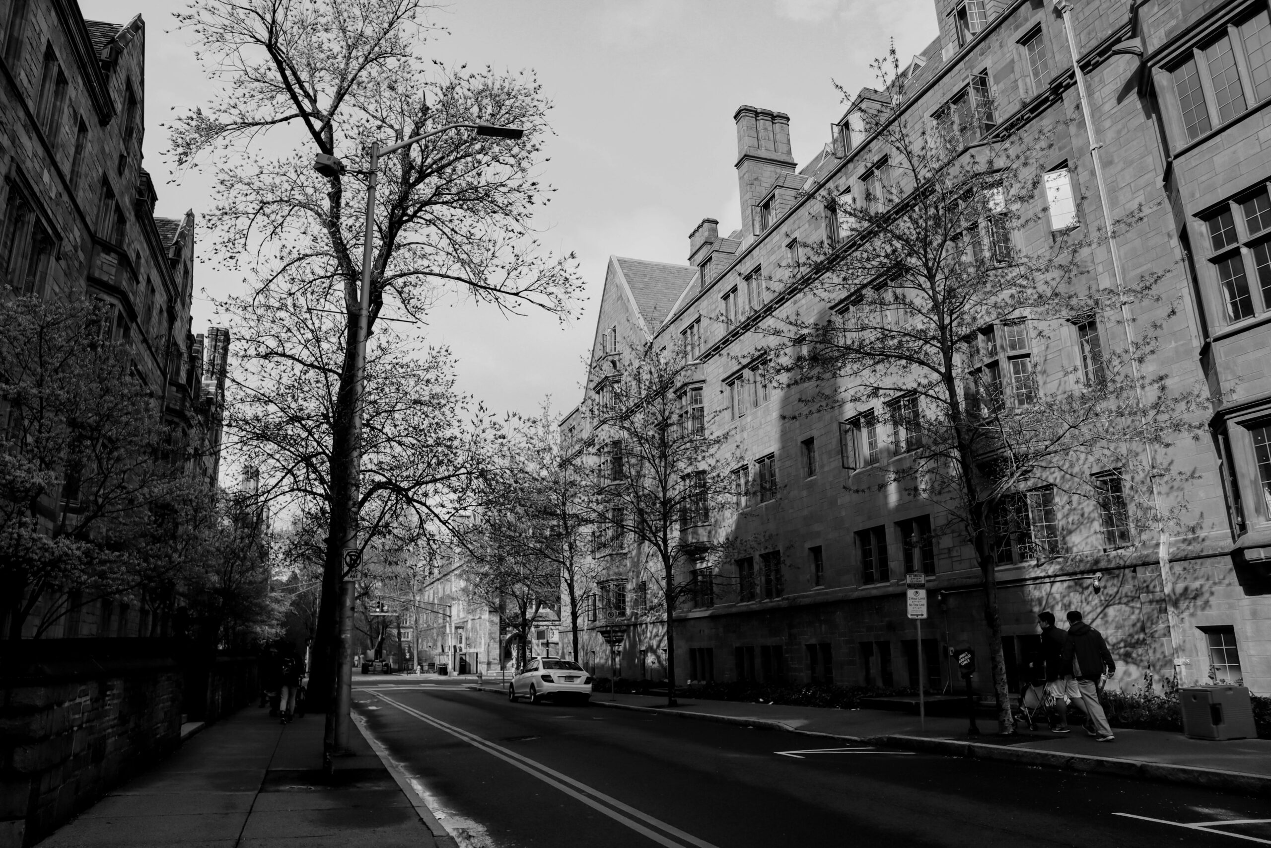 Black and white image of bare trees and stone buildings in New Haven, CT