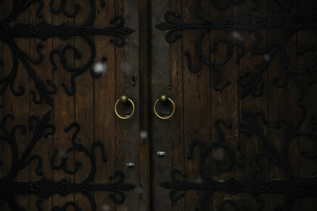 A close-up of a wooden door featuring two decorative metal rings as handles.